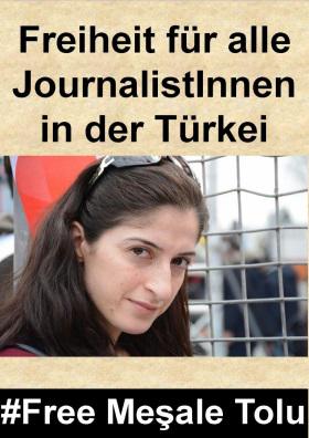 Mesale Tolu