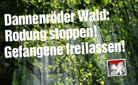 2020 11 20 Sharepic Dannenröder Forst
