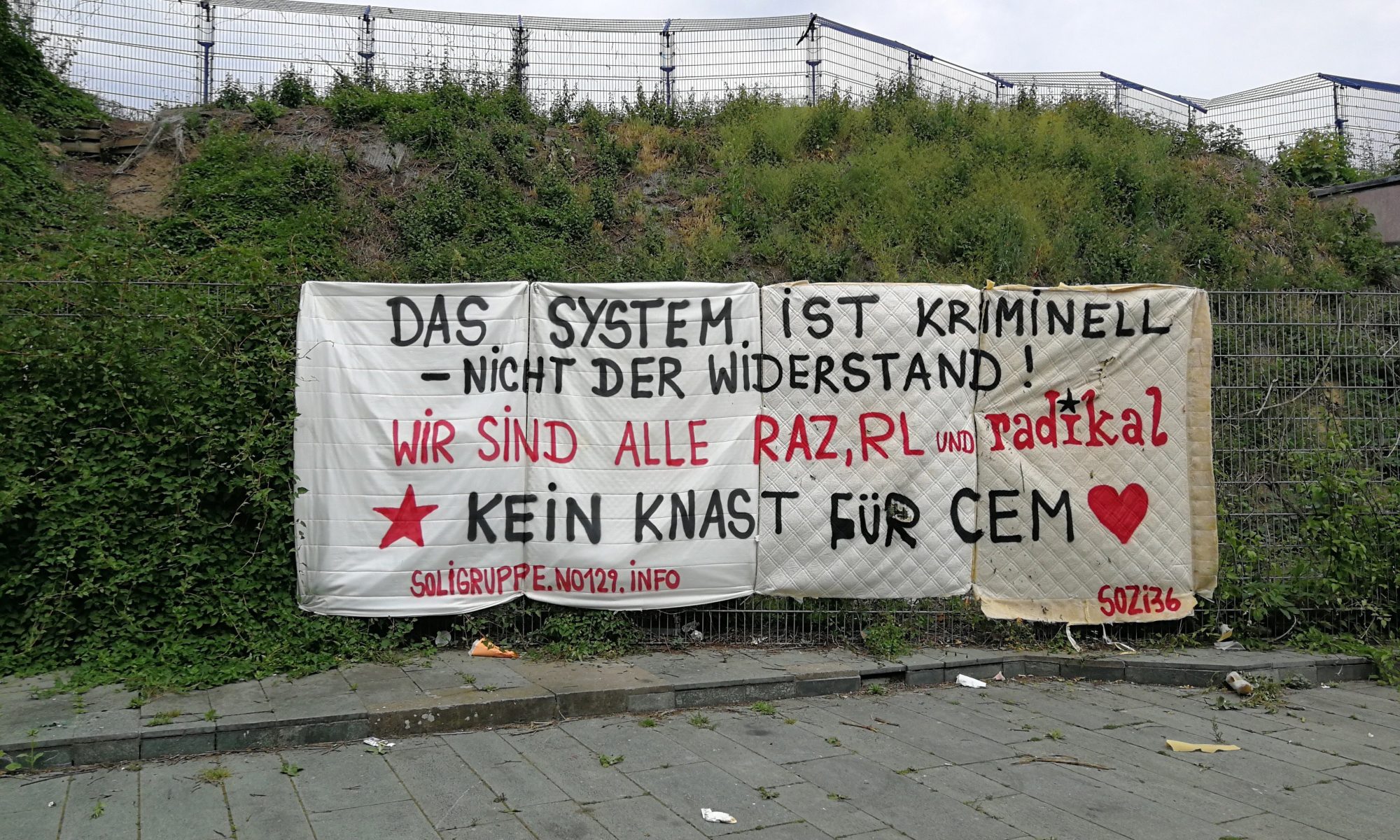 RAZ Soli