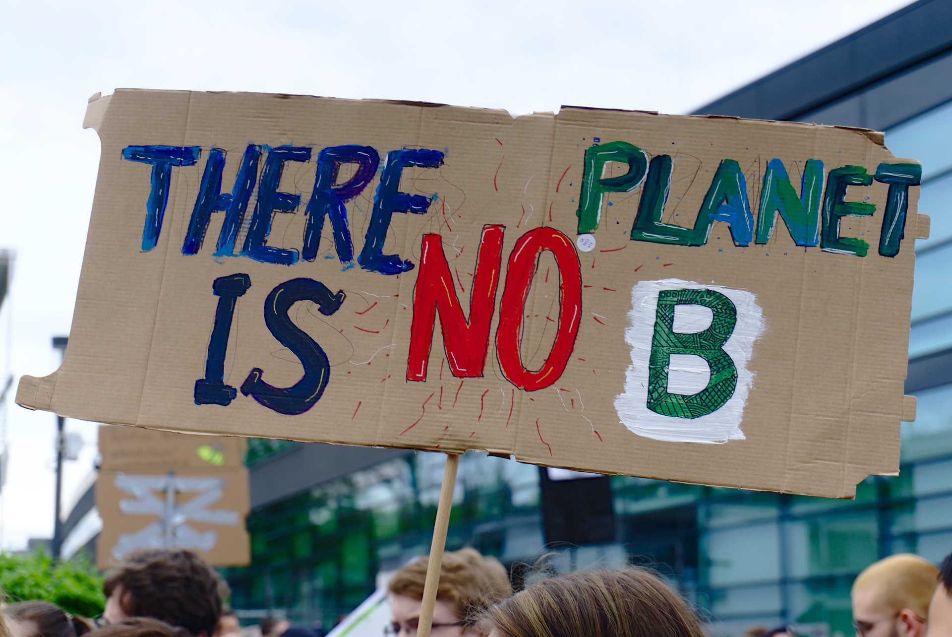 fridays for future